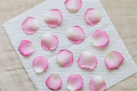 how to dry rose petals.